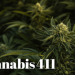Cannabis 411